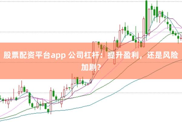 股票配资平台app 公司杠杆：提升盈利，还是风险加剧？