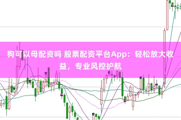 狗可以母配资吗 股票配资平台App：轻松放大收益，专业风控护航