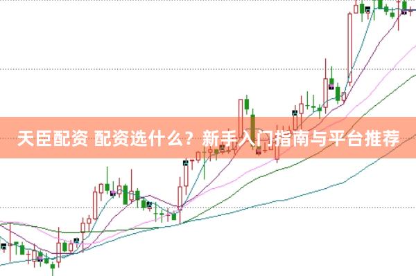 天臣配资 配资选什么?新手入门指南与平台推荐