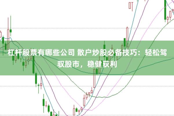 杠杆股票有哪些公司 散户炒股必备技巧：轻松驾驭股市，稳健获利