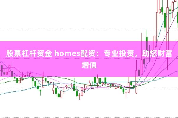 股票杠杆资金 homes配资:专业投资,助您财富增值