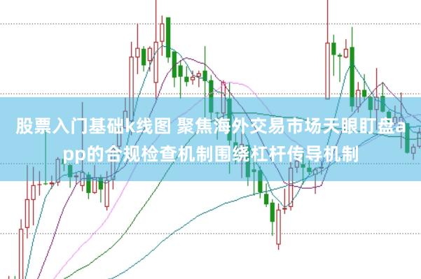 股票入门基础k线图 聚焦海外交易市场天眼盯盘app的合规检查机制围绕杠杆传导机制