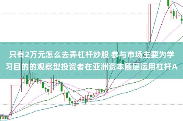 只有2万元怎么去弄杠杆炒股 参与市场主要为学习目的的观察型投资者在亚洲资本圈层运用杠杆A