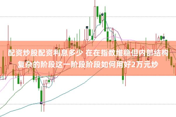 配资炒股配资利息多少 在在指数维稳但内部结构复杂的阶段这一阶段阶段如何用好2万元炒