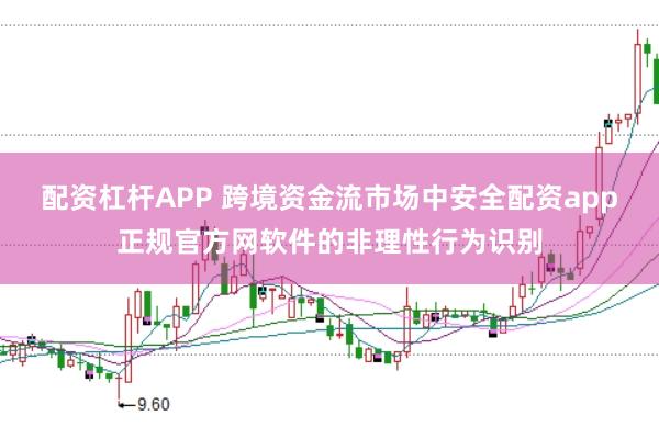 配资杠杆APP 跨境资金流市场中安全配资app正规官方网软件的非理性行为识别