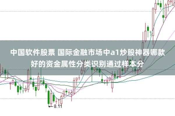 中国软件股票 国际金融市场中a1炒股神器哪款好的资金属性分类识别通过样本分