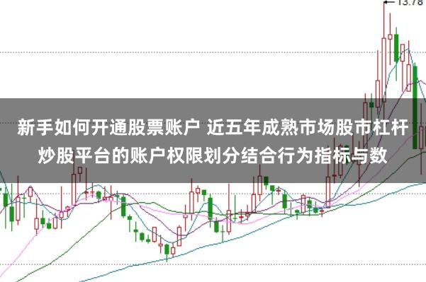 新手如何开通股票账户 近五年成熟市场股市杠杆炒股平台的账户权限划分结合行为指标与数