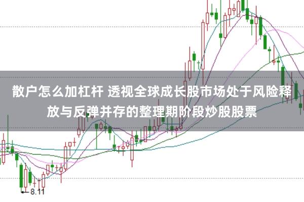 散户怎么加杠杆 透视全球成长股市场处于风险释放与反弹并存的整理期阶段炒股股票
