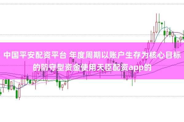 中国平安配资平台 年度周期以账户生存为核心目标的防守型资金使用天臣配资app的