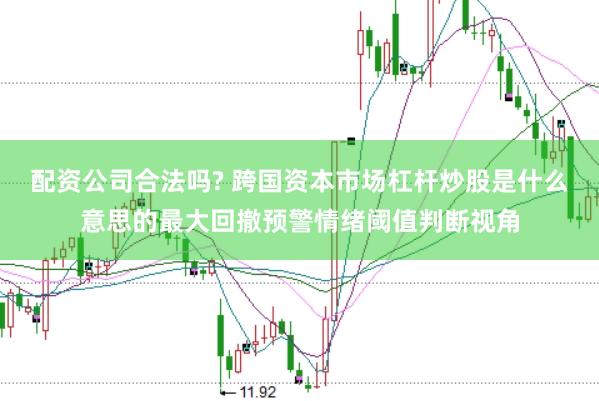 配资公司合法吗? 跨国资本市场杠杆炒股是什么意思的最大回撤预警情绪阈值判断视角
