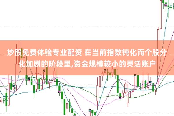 炒股免费体验专业配资 在当前指数钝化而个股分化加剧的阶段里，资金规模较小的灵活账户