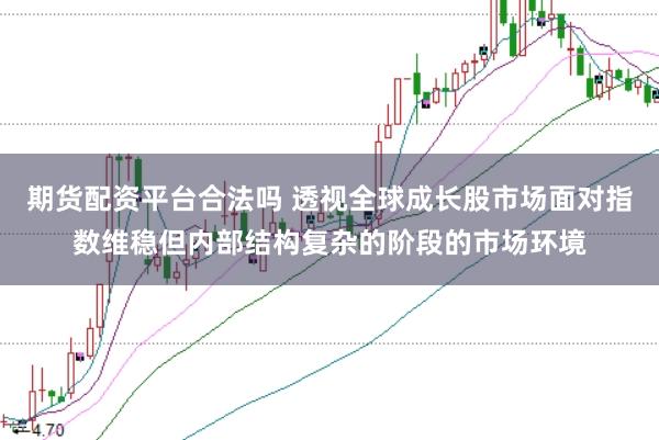期货配资平台合法吗 透视全球成长股市场面对指数维稳但内部结构复杂的阶段的市场环境