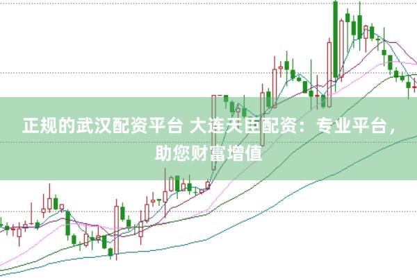 正规的武汉配资平台 大连天臣配资：专业平台，助您财富增值