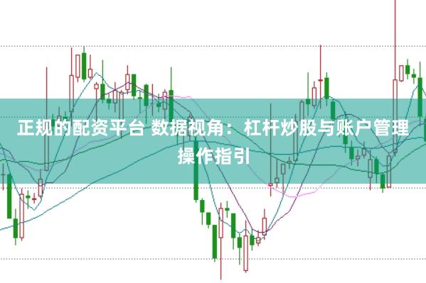 正规的配资平台 数据视角:杠杆炒股与账户管理操作指引