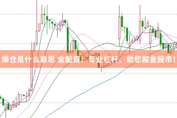 爆仓是什么意思 金配资:专业杠杆,助您掘金股市!