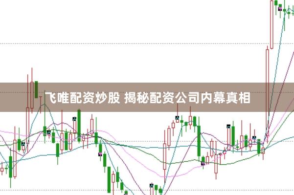 飞唯配资炒股 揭秘配资公司内幕真相