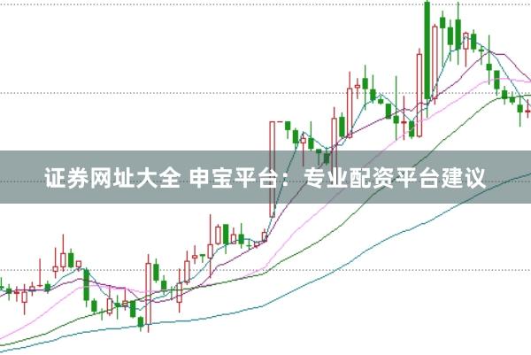 证券网址大全 申宝平台：专业配资平台建议