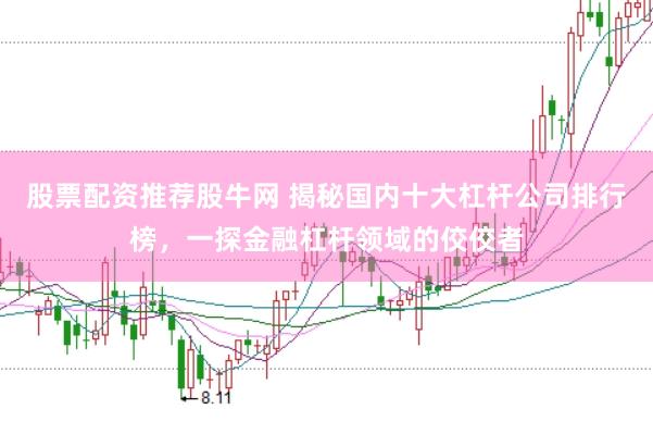 股票配资推荐股牛网 揭秘国内十大杠杆公司排行榜，一探金融杠杆领域的佼佼者