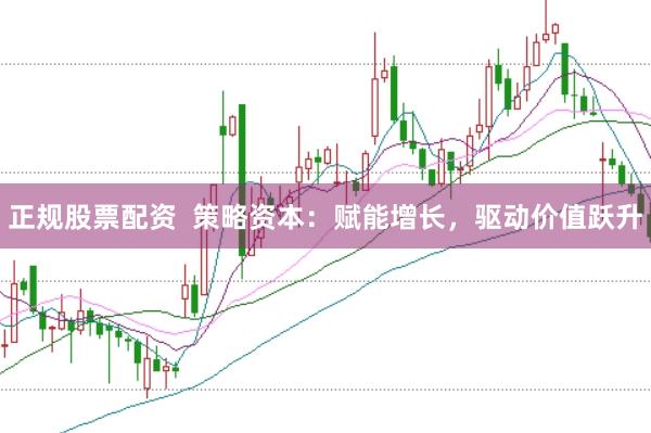 正规股票配资  策略资本：赋能增长，驱动价值跃升
