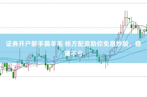 证券开户新手薅羊毛 杨方配资助你免息炒股，稳赚不亏